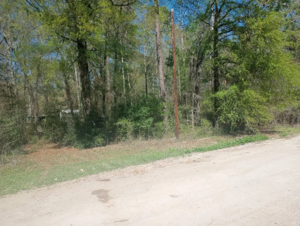 Top-rated landscaping services in Livingston, TX by Scott & Reeves Transport