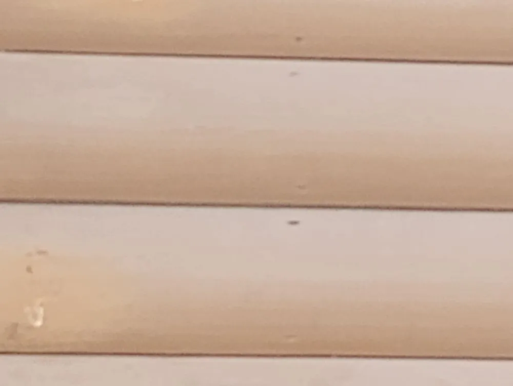 Top-rated lawn mowing service for outdoor upgrades in Livingston, TX by Scott & Reeves Transport