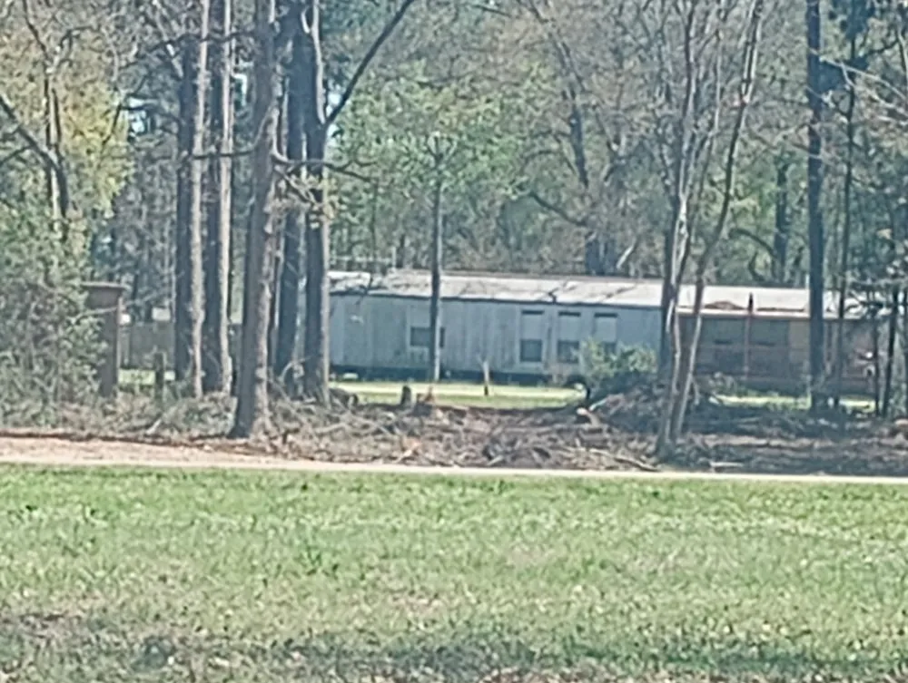 Reliable yard cleanup service in Livingston, TX by Scott & Reeves Transport