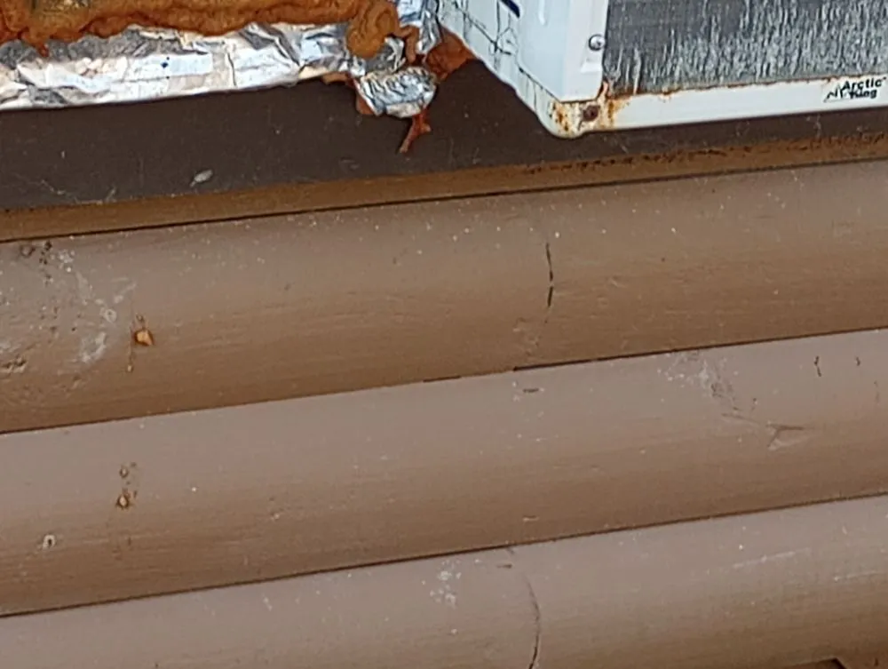 Expert yard cleanup service in Livingston, TX - Scott & Reeves Transport