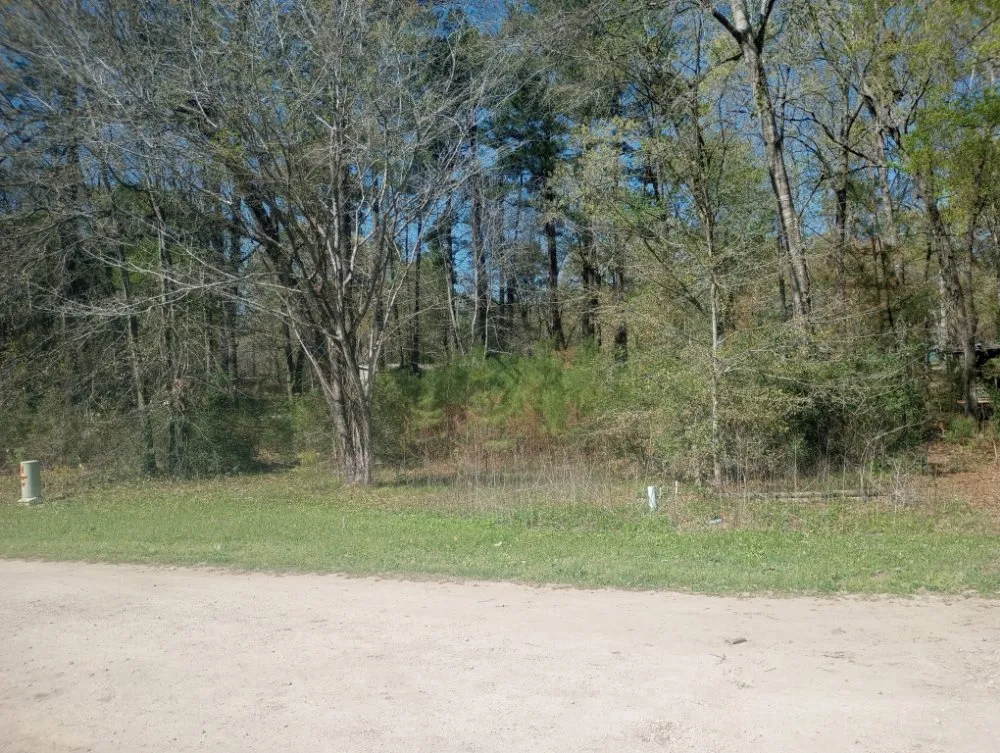 Trusted outdoor landscaping for beautiful yards across Livingston, TX - Scott & Reeves Transport