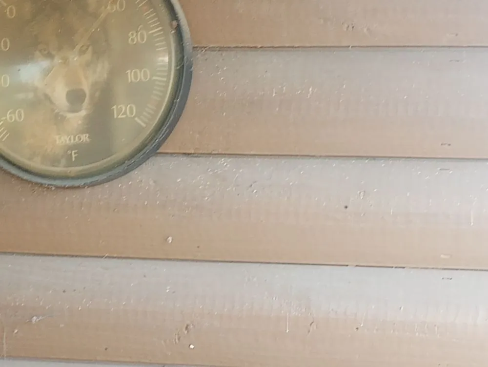 Professional lawn care service in Livingston, TX by Scott & Reeves Transport