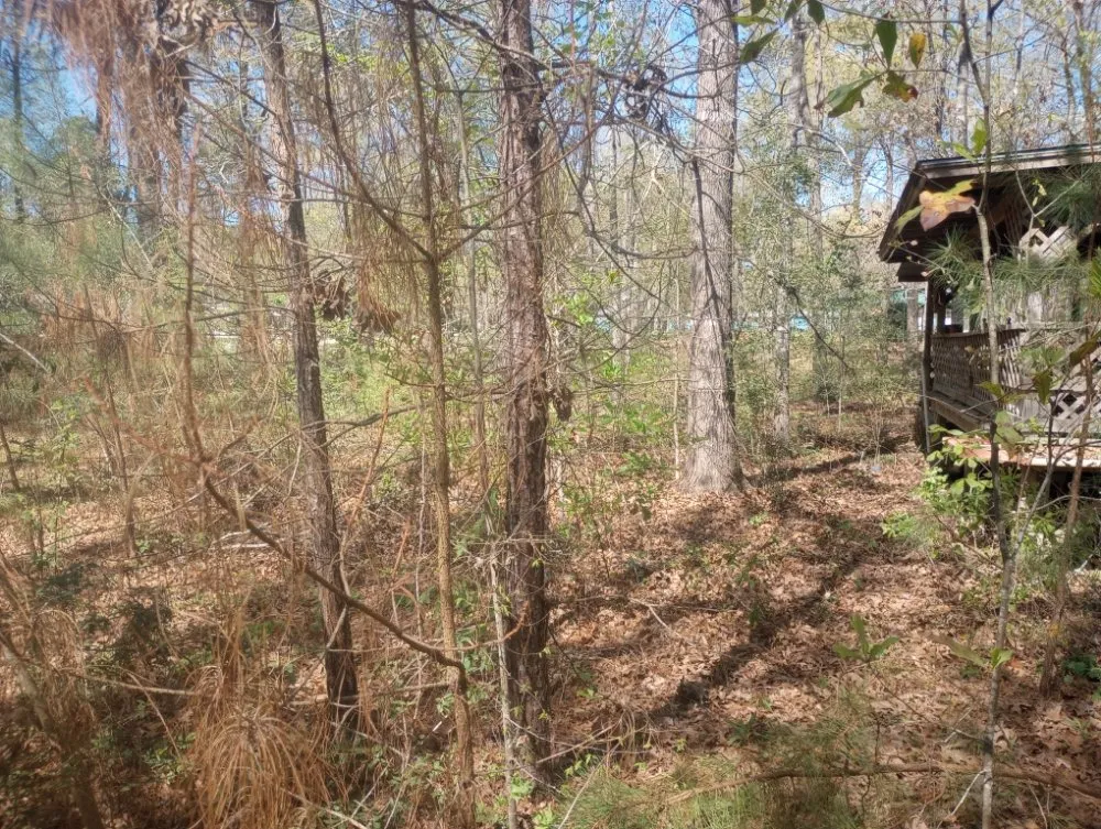 Reliable yard maintenance in Livingston, TX by Scott & Reeves Transport