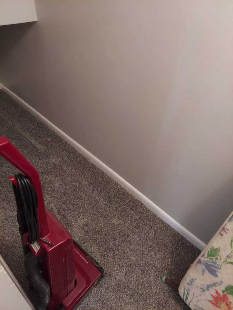 Local lawn care service in Palmetto, FL by Scott & Son's Handyman & Lawn Service