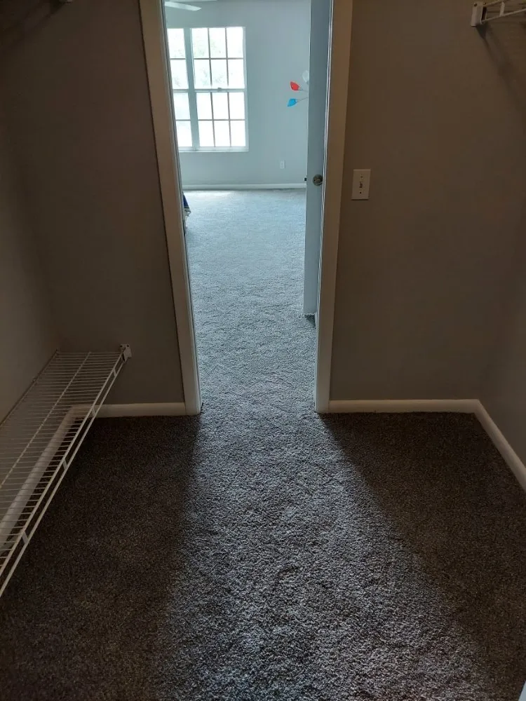 Expert landscape installation in Palmetto, FL by Scott & Son's Handyman & Lawn Service