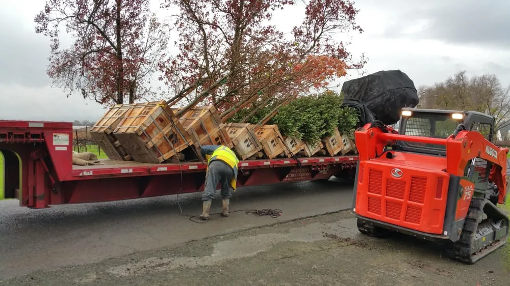 Expert lawn mowing service for residential properties in Sonoma, CA by Scott Anderson Landscaping and Maintenance