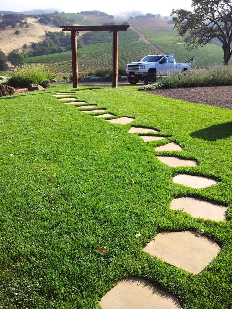 Reliable landscaping services in Sonoma, CA - Scott Anderson Landscaping and Maintenance