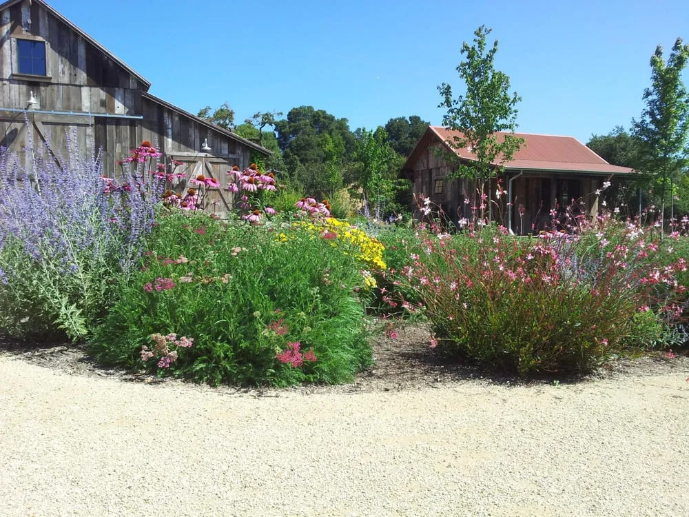 Trusted lawn mowing service in Sonoma, CA by Scott Anderson Landscaping and Maintenance