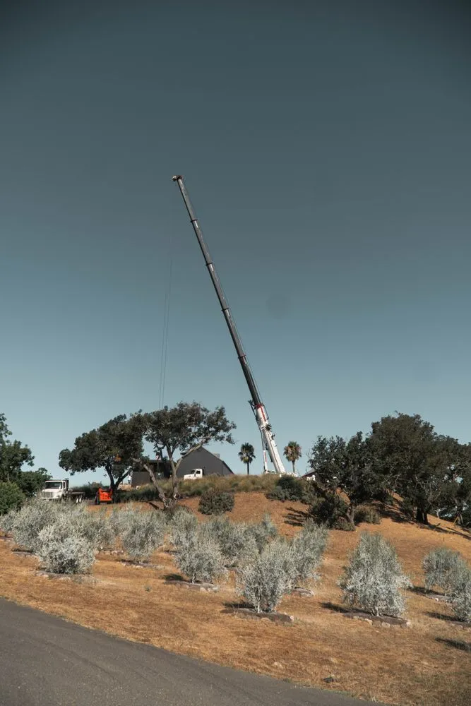 Local yard cleanup service for beautiful yards across Sonoma, CA - Scott Anderson Landscaping and Maintenance