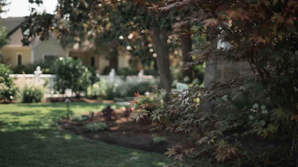 Expert lawn mowing service in Sonoma, CA - Scott Anderson Landscaping and Maintenance