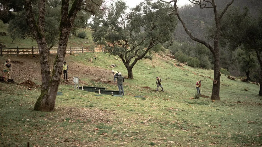 Professional lawn care service for year-round maintenance across Sonoma, CA - Scott Anderson Landscaping and Maintenance