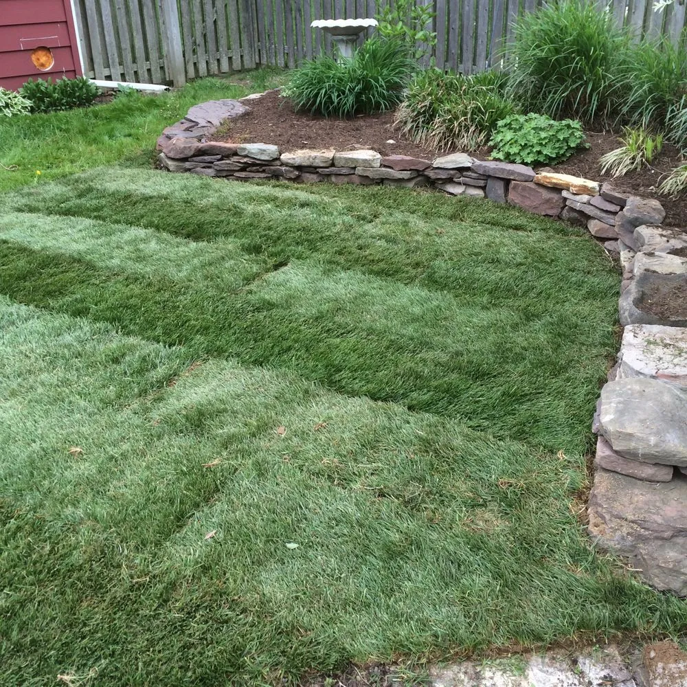 Custom yard cleanup service experts serving Chalfont, PA - Scott Baldelli Gardening & Design