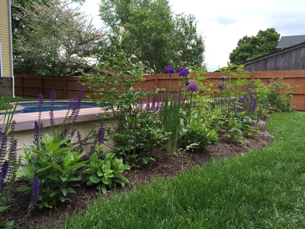 Affordable landscape design in Chalfont, PA by Scott Baldelli Gardening & Design