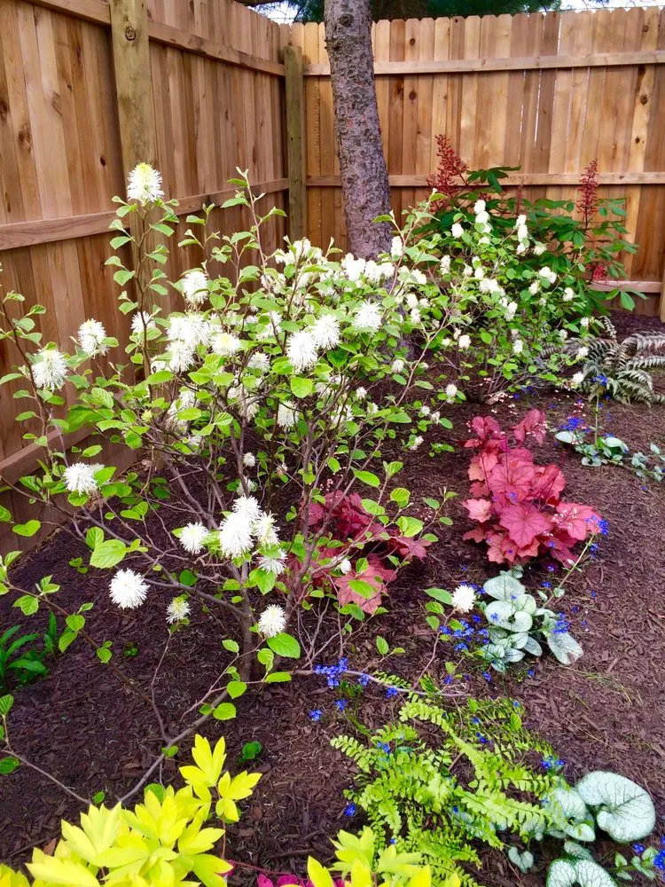 Affordable lawn mowing service for homes in Chalfont, PA by Scott Baldelli Gardening & Design