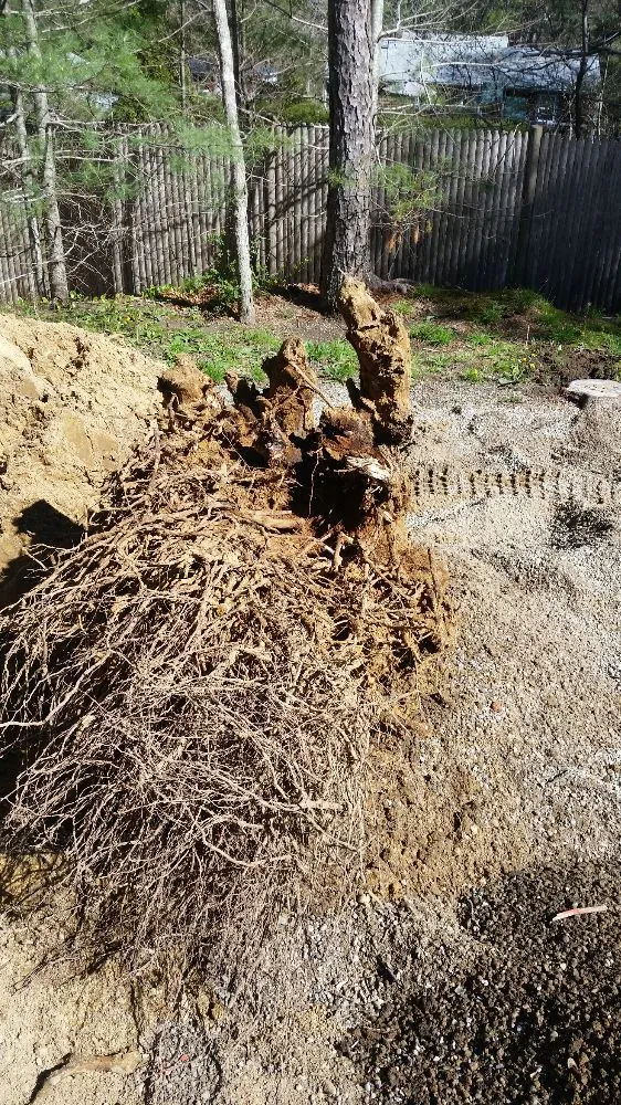 Local outdoor landscaping experts serving Plymouth, MA - Scott E Flora Lawn Irrigation