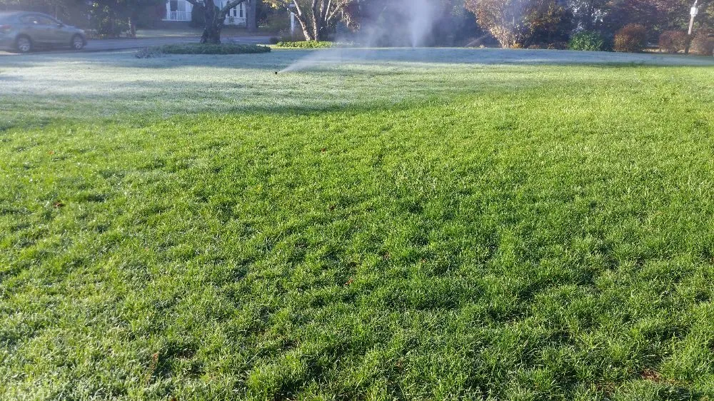 Reliable garden landscaping for beautiful yards across Plymouth, MA - Scott E Flora Lawn Irrigation