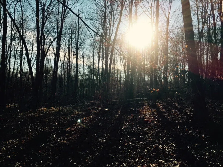 Expert lawn mowing service experts serving Middleton, WI - Scott Harrington Landscape And Tree Service