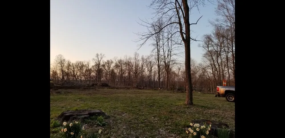 Affordable yard maintenance in Jackson, MO - Scott Hauling & Excavating