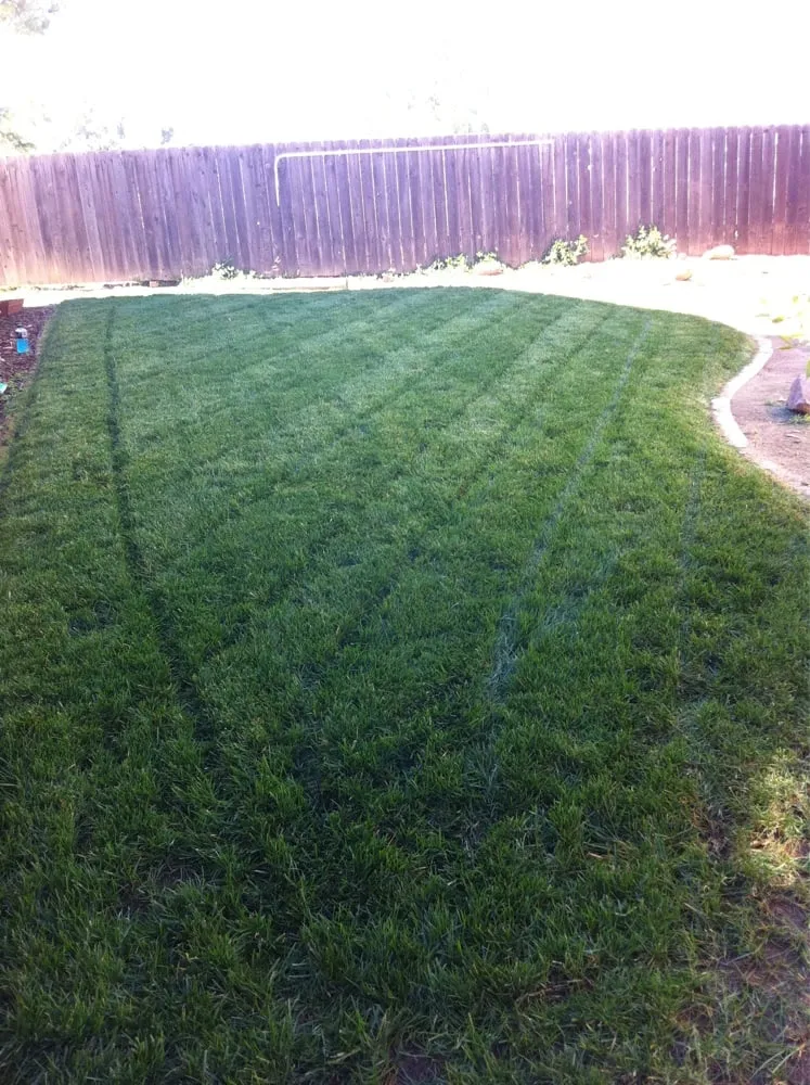 Expert lawn mowing service in San Diego, CA - Scott Heyden Landscape