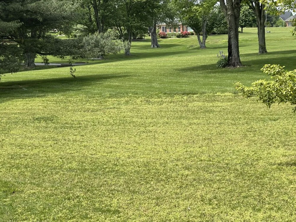 Top-rated garden landscaping for year-round maintenance in Franklin, KY by Scott Lawn & Landscape