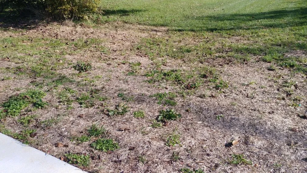 Custom yard maintenance with custom design across Franklin, KY - Scott Lawn & Landscape