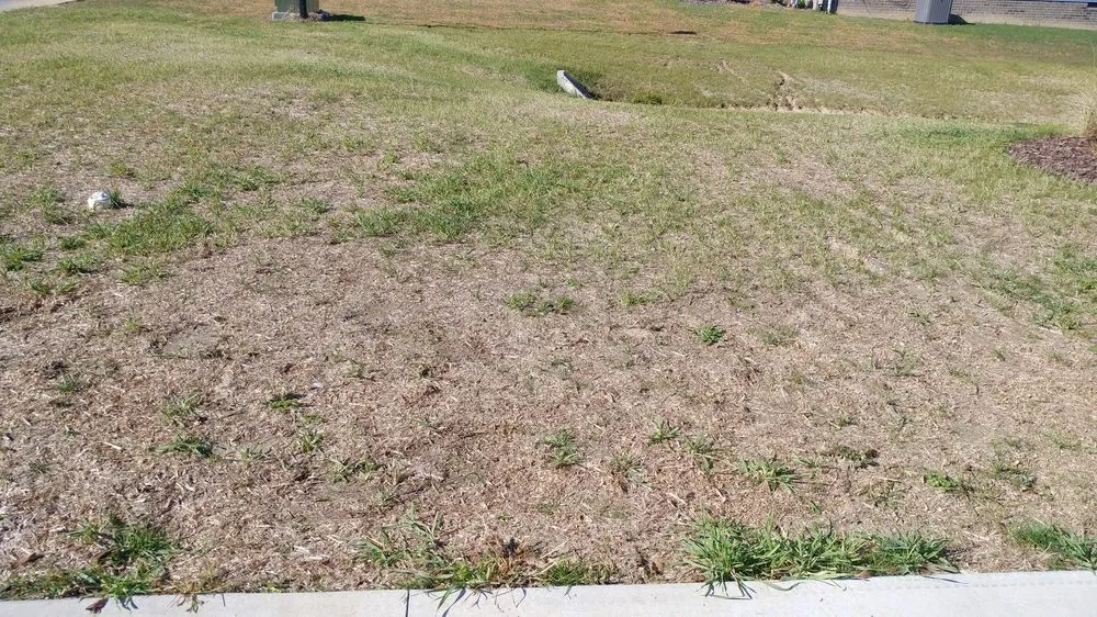 Top-rated outdoor landscaping with custom design across Franklin, KY - Scott Lawn & Landscape