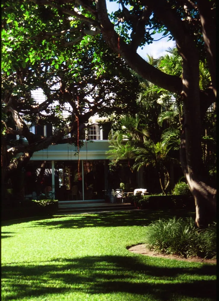 Custom landscape installation experts serving West Palm Beach, FL - Scott Lewis Gardening & Trimming