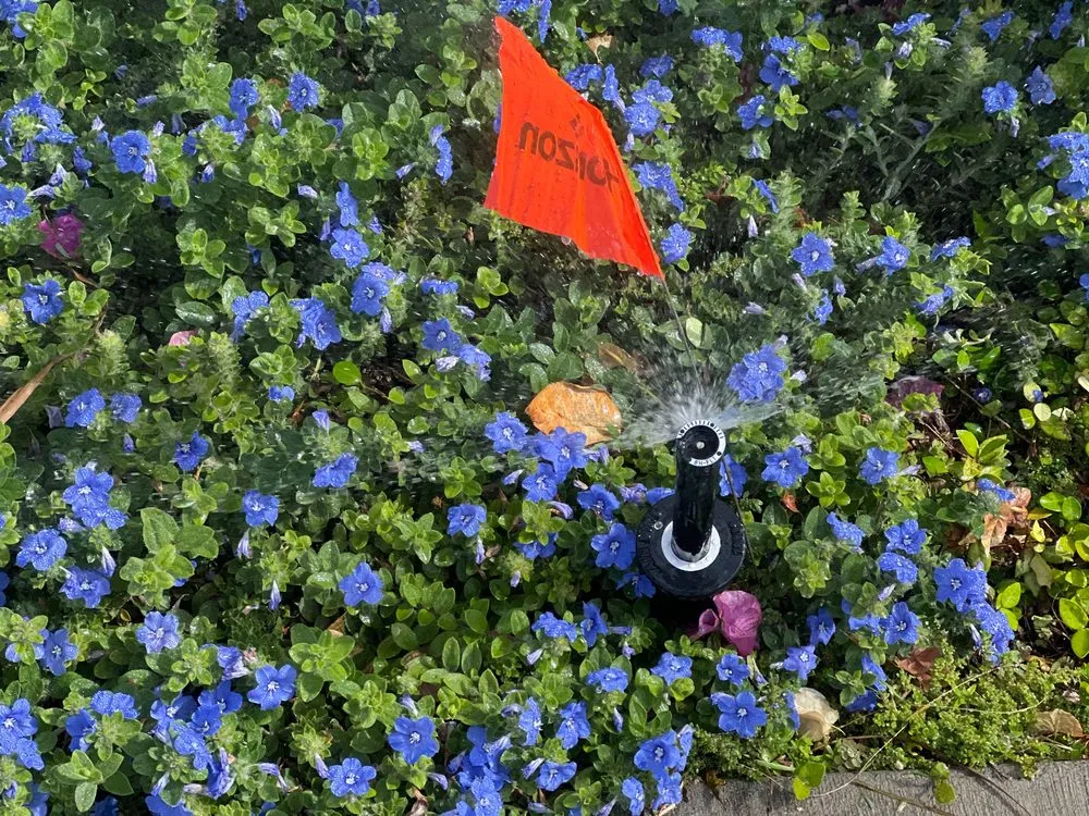 Local outdoor landscaping experts serving West Palm Beach, FL - Scott Lewis Gardening & Trimming