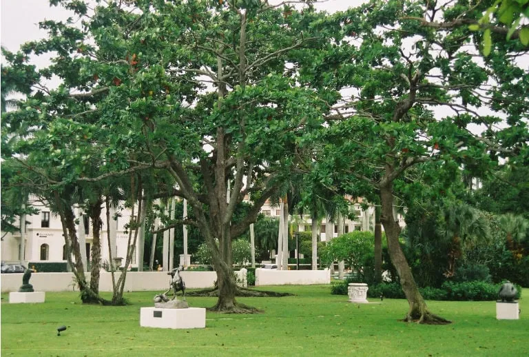 Affordable garden landscaping in West Palm Beach, FL by Scott Lewis Gardening & Trimming