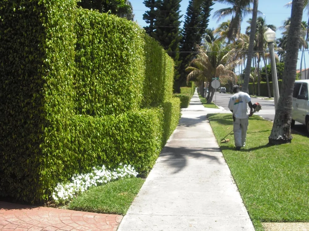 Expert landscape installation in West Palm Beach, FL by Scott Lewis Gardening & Trimming