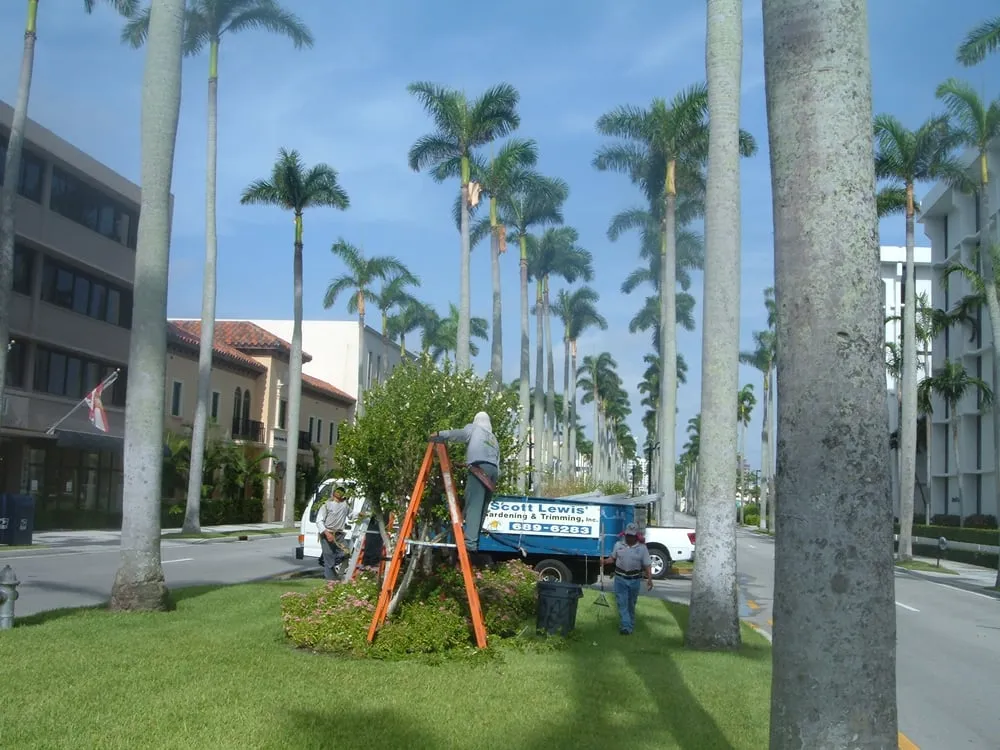 Affordable residential landscaping with custom design in West Palm Beach, FL by Scott Lewis Gardening & Trimming