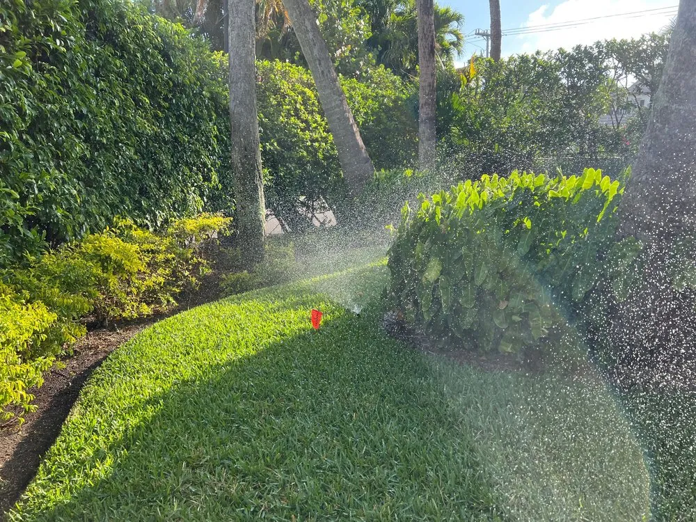 Local yard maintenance for year-round maintenance across West Palm Beach, FL - Scott Lewis Gardening & Trimming