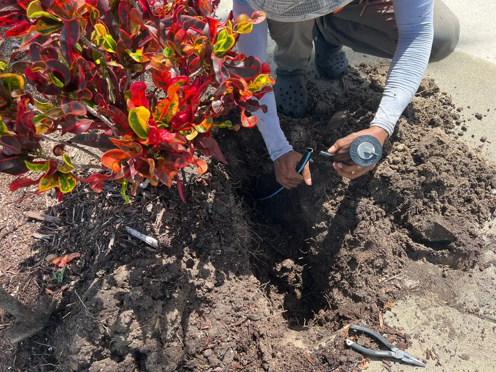 Trusted landscaping services in West Palm Beach, FL - Scott Lewis Gardening & Trimming