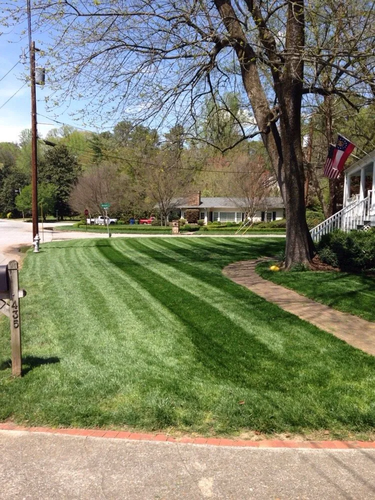 Top-rated yard cleanup service in Covington, GA - Scott Palma Landscape