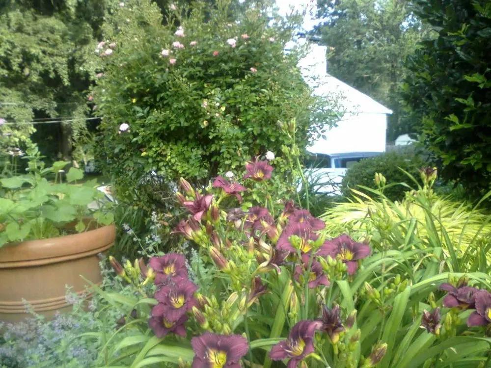 Reliable lawn care service in Bensalem, PA by Scott Shablin Landscaping