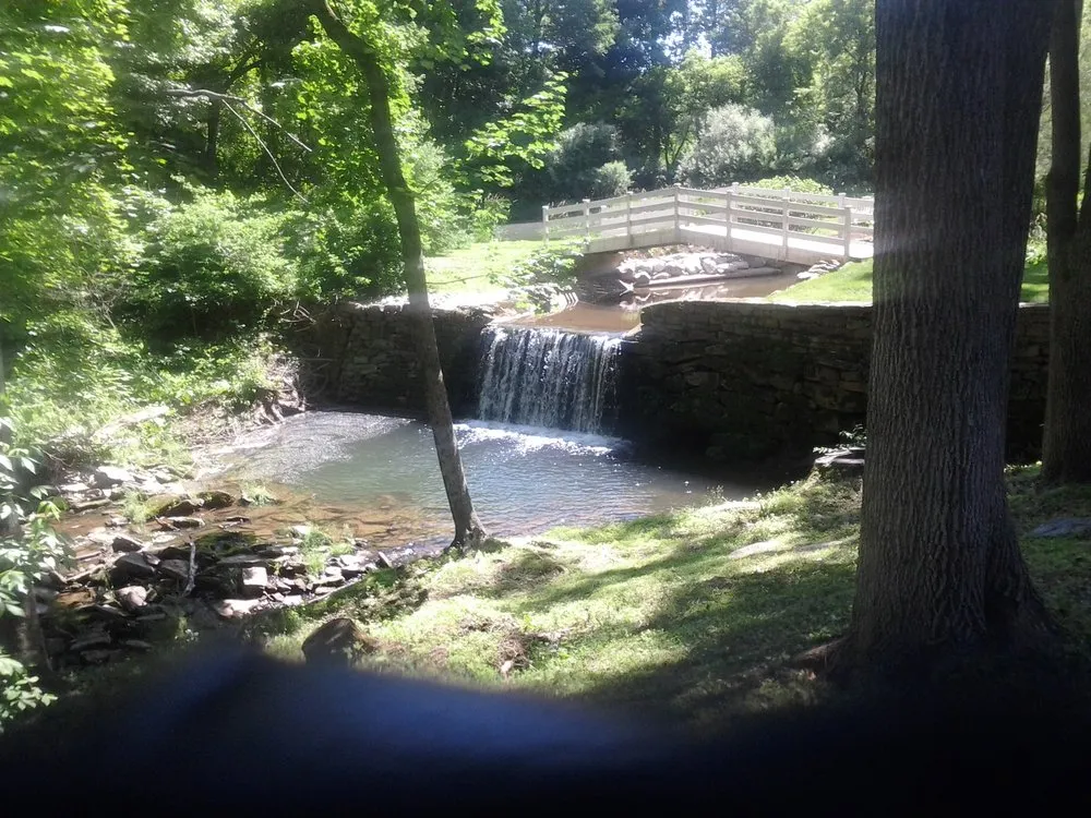 Local yard cleanup service for outdoor upgrades across Bensalem, PA - Scott Shablin Landscaping