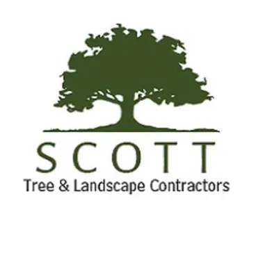 Scott Tree