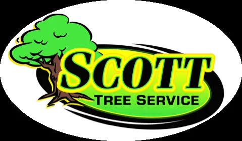 Expert lawn mowing service experts serving Greensboro, NC - Scott Tree Service