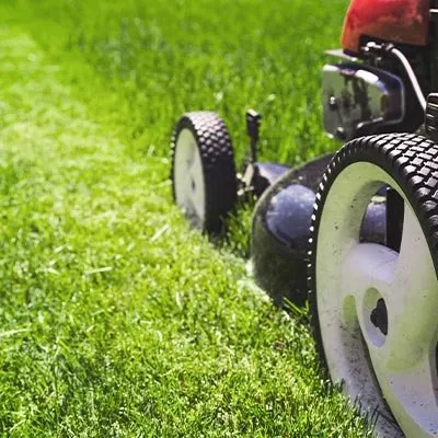 Professional landscape installation in Dublin, GA - Scott White's Handyman