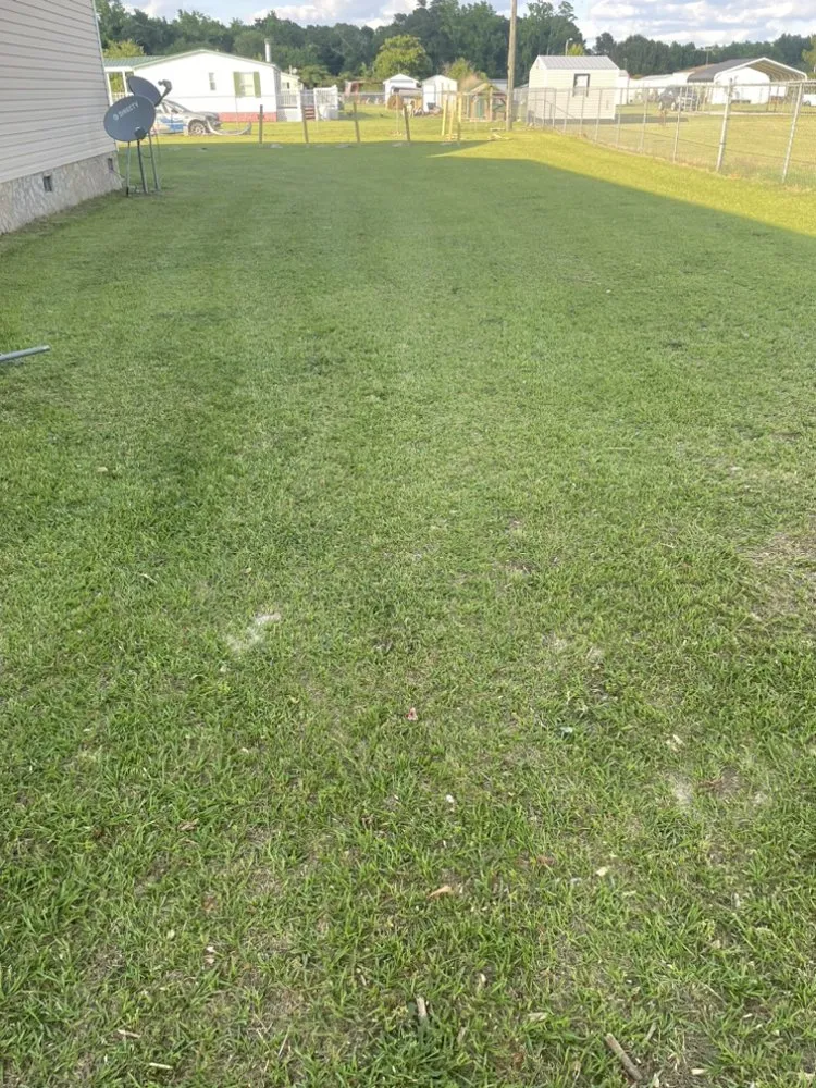 Affordable yard cleanup service for homes in Lumberton, NC by Scottie’s Mowing Service