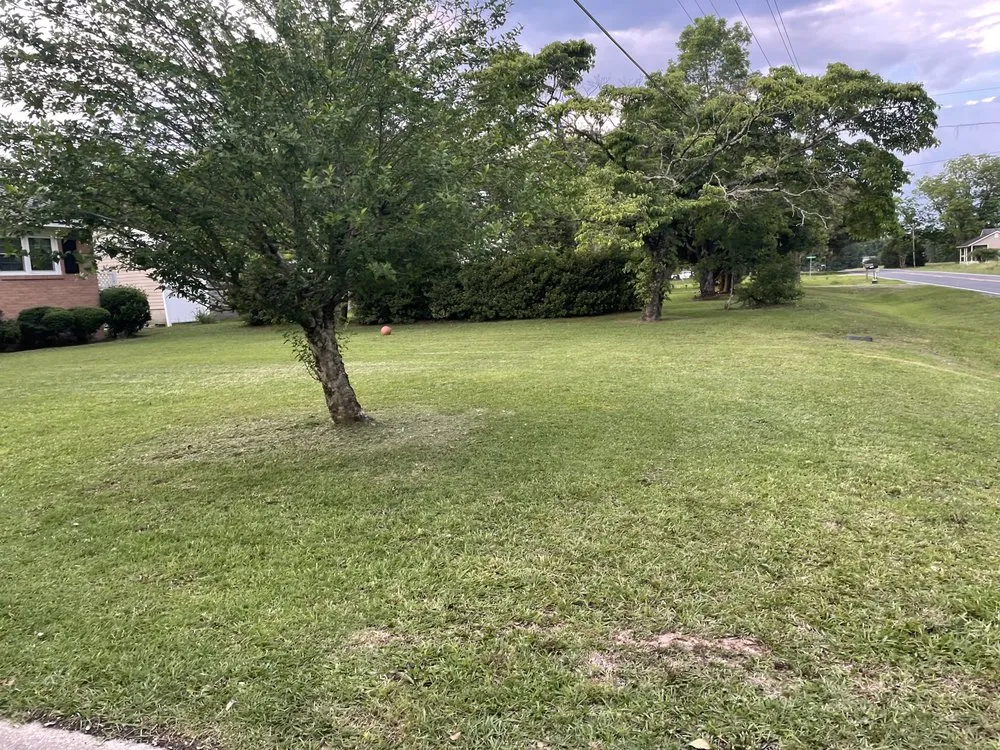 Affordable yard cleanup service in Lumberton, NC - Scottie’s Mowing Service