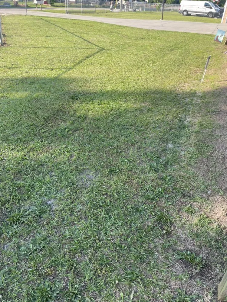 Top-rated landscaping services experts serving Lumberton, NC - Scottie’s Mowing Service