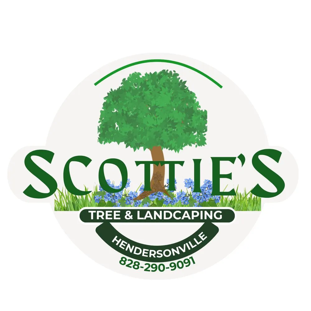 Top-rated yard cleanup service for year-round maintenance in Hendersonville, NC by Scotties Tree & Landscaping Services