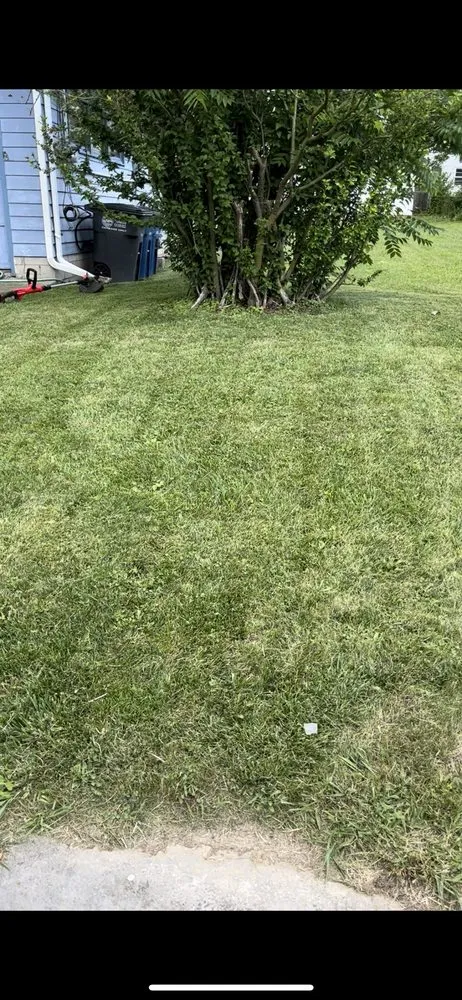 Reliable landscape design for outdoor upgrades in Toledo, OH by Scott's Affordable Lawn & Gutter Care