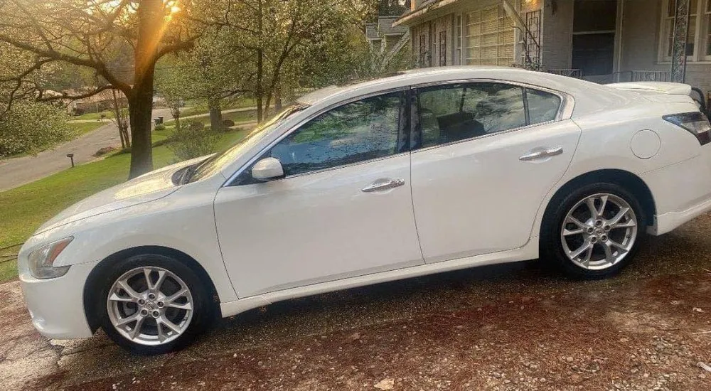 Affordable landscape design in Meridian, MS by Scott's All-In-One