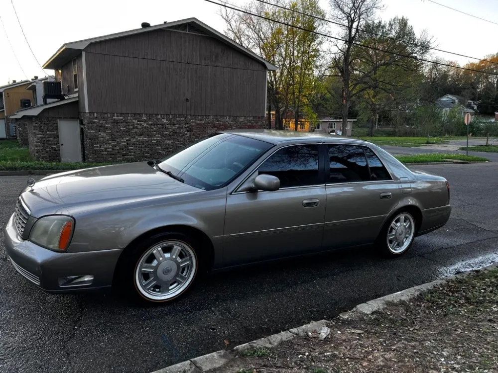 Expert landscape design experts serving Meridian, MS - Scott's All-In-One