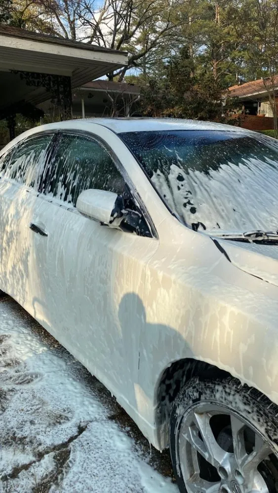 Expert lawn care service experts serving Meridian, MS - Scott's All-In-One