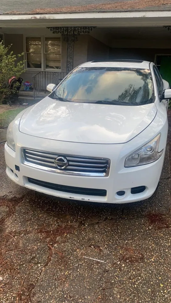 Trusted lawn care service for homes in Meridian, MS by Scott's All-In-One