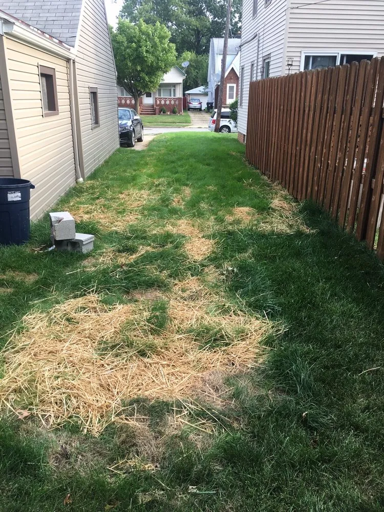 Top-rated lawn mowing service near you across Parma, OH - Scotts All Pro