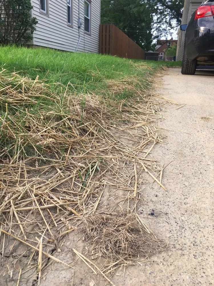 Top-rated landscape installation experts serving Parma, OH - Scotts All Pro